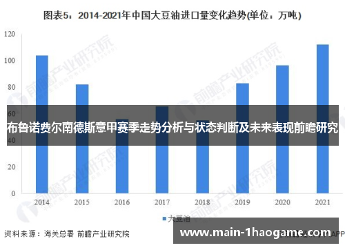 布鲁诺费尔南德斯意甲赛季走势分析与状态判断及未来表现前瞻研究